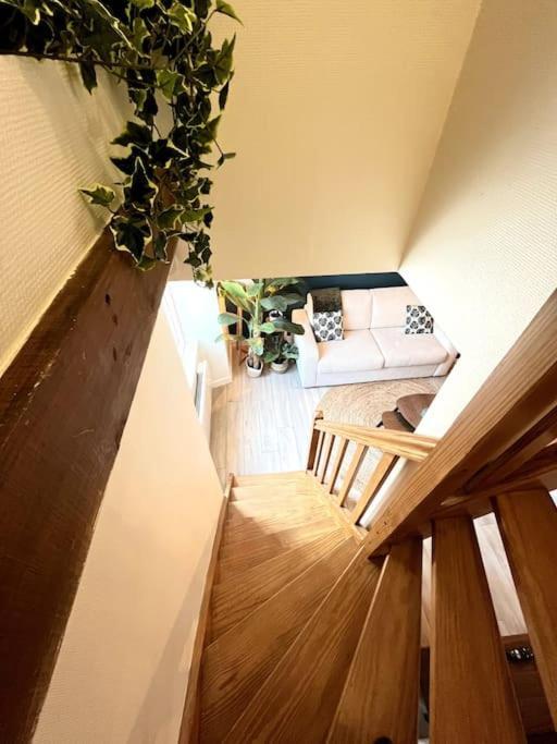 Jungle Haven - Romans-sur-Isère Extérieur photo